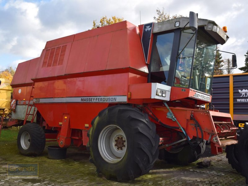 Mähdrescher del tipo Massey Ferguson MF 38, Gebrauchtmaschine en Oyten (Imagen 1)