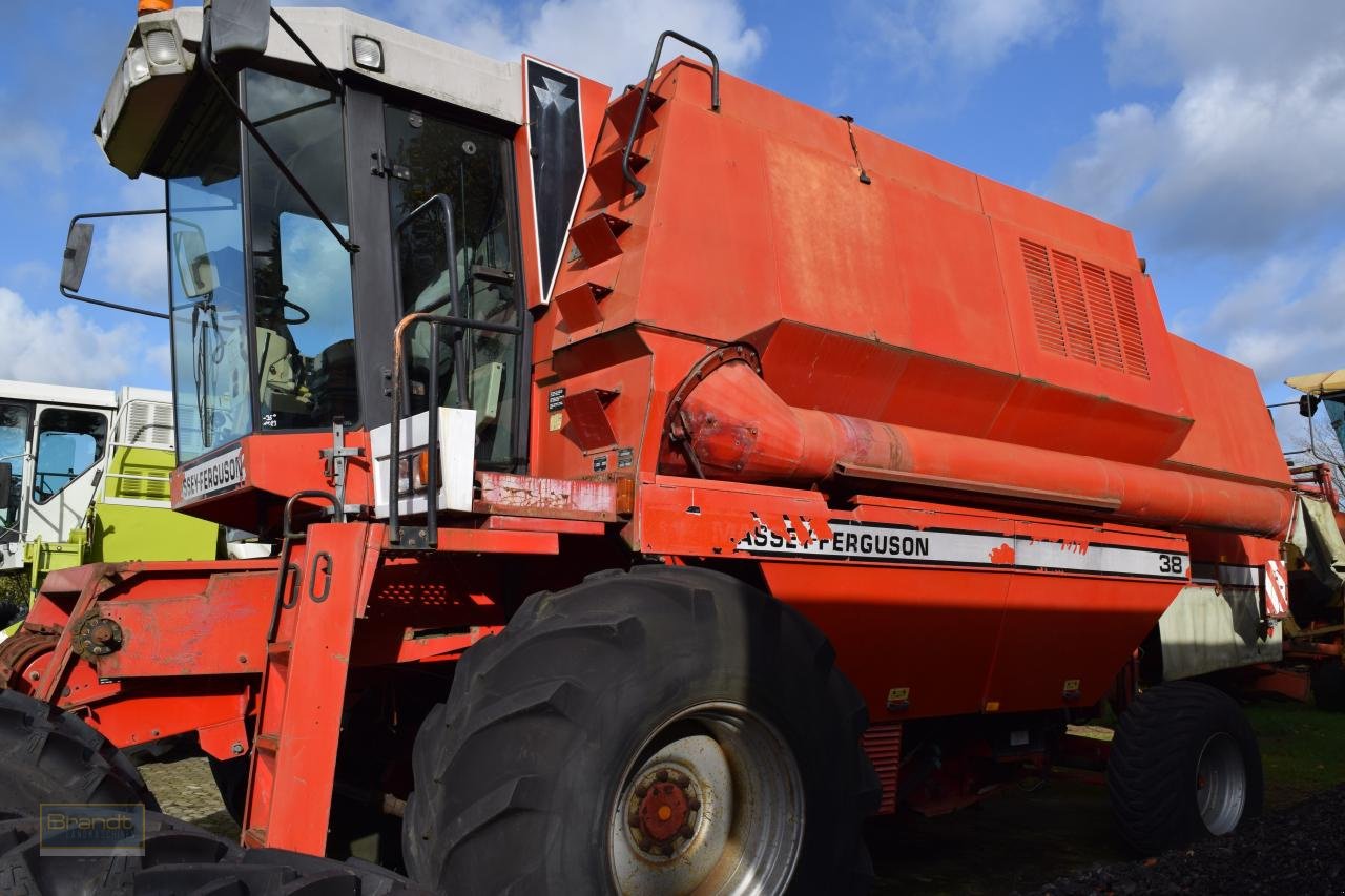Mähdrescher typu Massey Ferguson MF 38, Gebrauchtmaschine v Oyten (Obrázek 2)