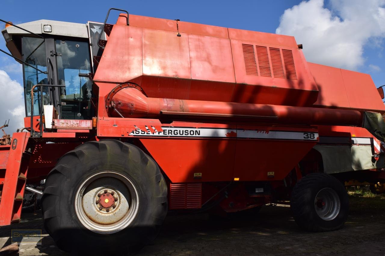 Mähdrescher typu Massey Ferguson MF 38, Gebrauchtmaschine v Oyten (Obrázek 3)