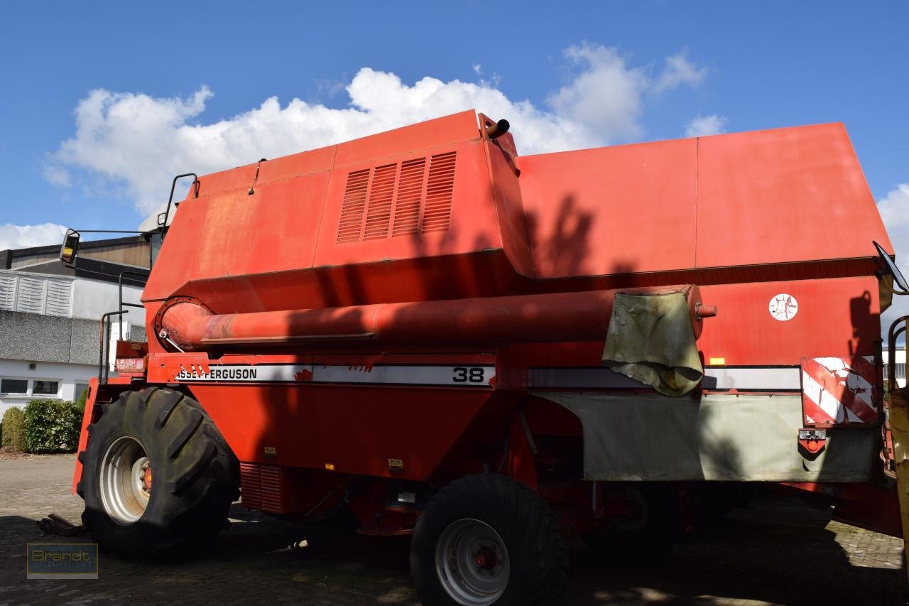 Mähdrescher typu Massey Ferguson MF 38, Gebrauchtmaschine v Oyten (Obrázek 4)