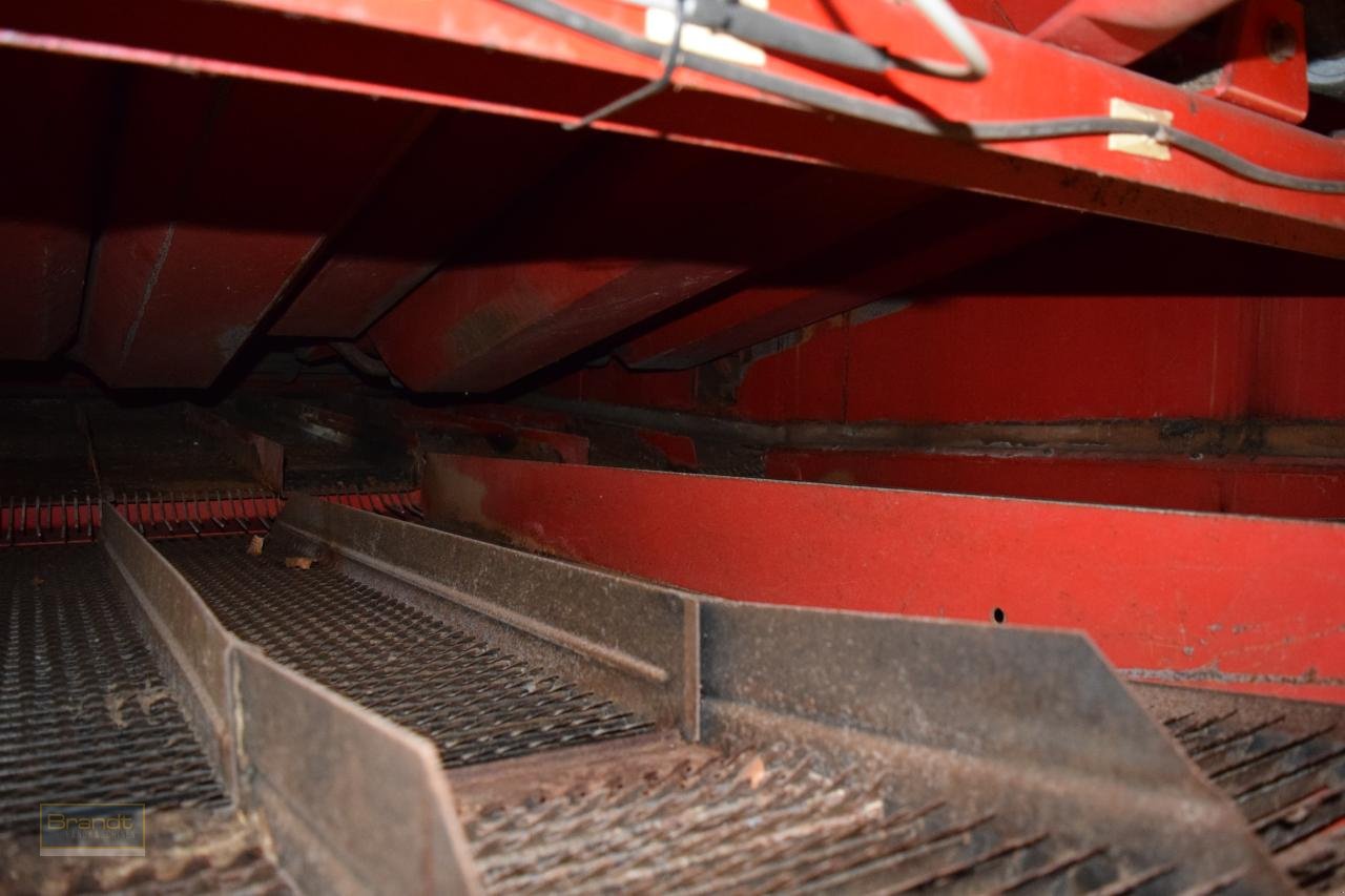 Mähdrescher typu Massey Ferguson MF 38, Gebrauchtmaschine v Oyten (Obrázek 7)