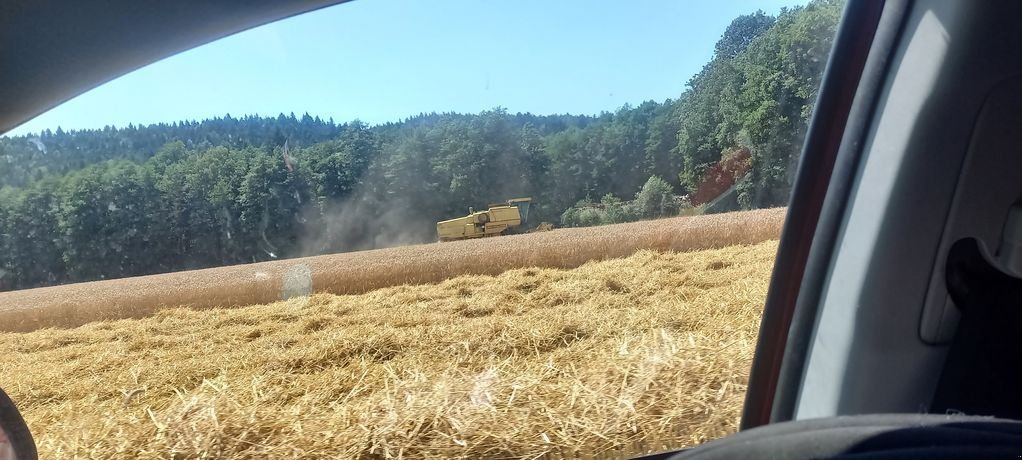 Mähdrescher typu New Holland 8060, Gebrauchtmaschine v Moosburg (Obrázek 2)