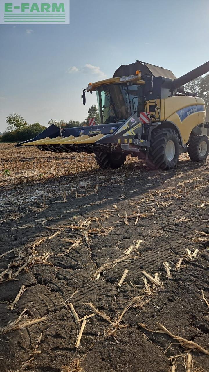 Mähdrescher of the type New Holland CX 860, Gebrauchtmaschine in Hamburg (Picture 7)