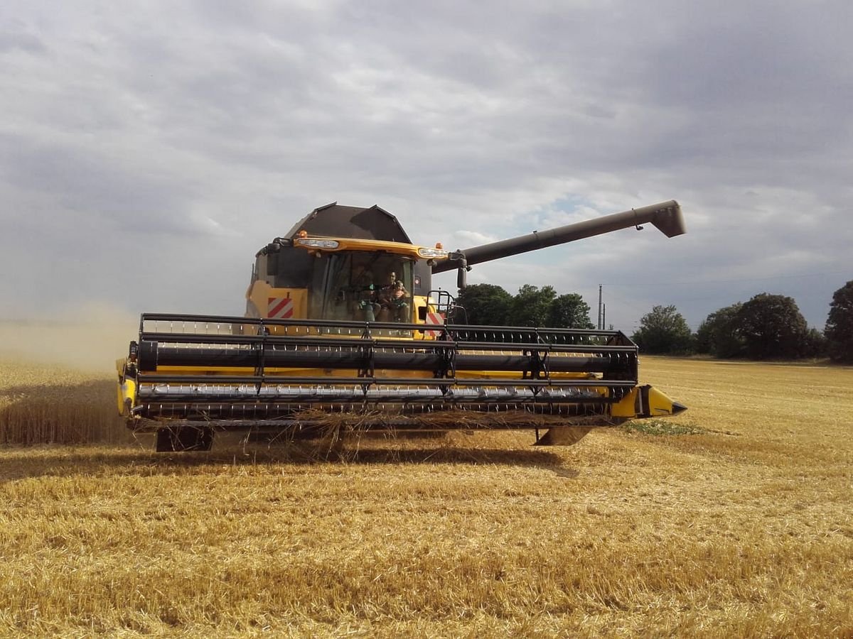 Mähdrescher типа New Holland CX8080, Gebrauchtmaschine в Grund (Фотография 9)