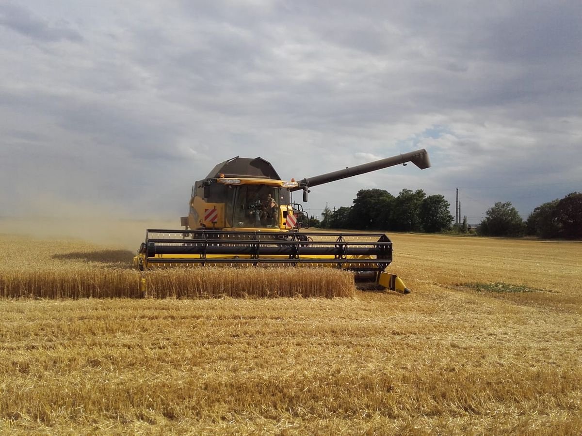 Mähdrescher типа New Holland CX8080, Gebrauchtmaschine в Grund (Фотография 18)