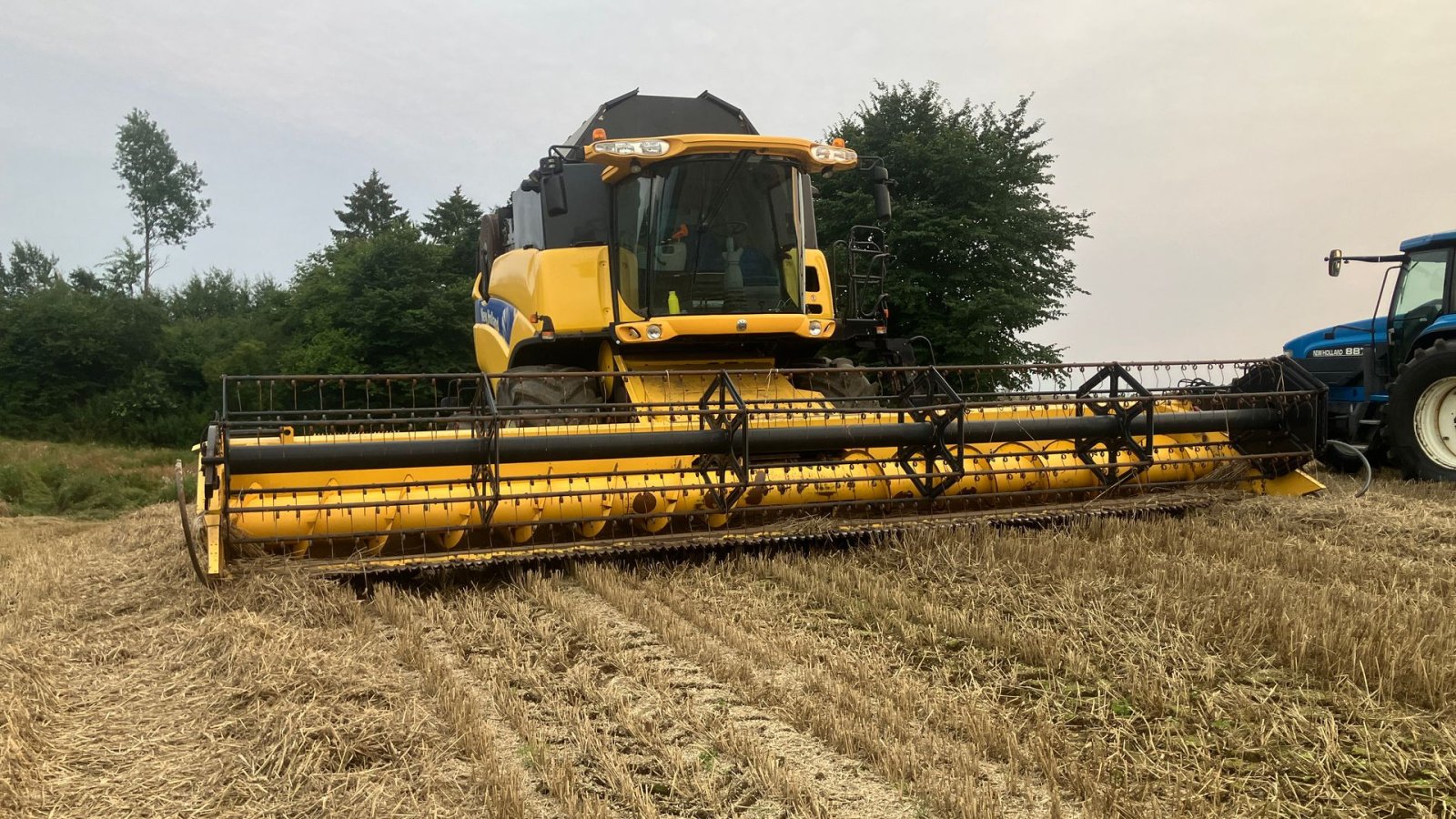 Mähdrescher des Typs New Holland CX8090 CX8090, Gebrauchtmaschine in Rødekro (Bild 4)