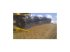 Mähdrescher tip New Holland NEW HOLLAND Geringhoff 40 fods Triflex Sejlskærebord, Gebrauchtmaschine in Middelfart (Poză 4)
