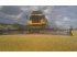 Mähdrescher tip New Holland NEW HOLLAND Geringhoff 40 fods Triflex Sejlskærebord, Gebrauchtmaschine in Middelfart (Poză 8)