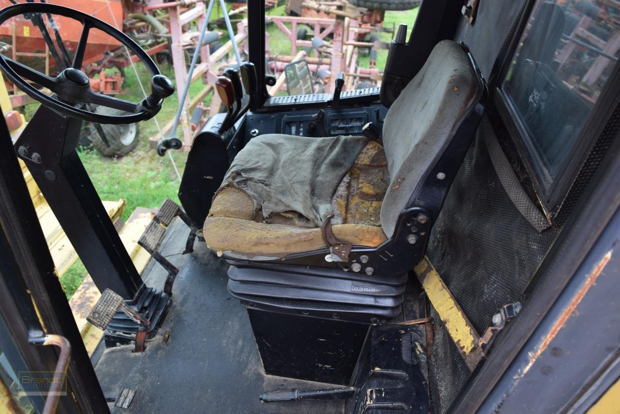 Mähdrescher tip New Holland TF 42, Gebrauchtmaschine in Oyten (Poză 7)