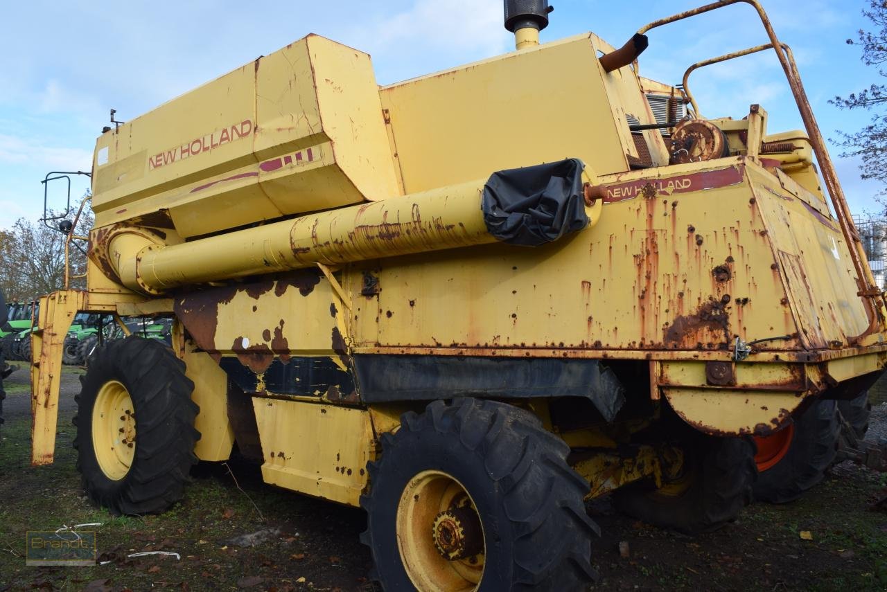 Mähdrescher of the type New Holland TF 44, Gebrauchtmaschine in Oyten (Picture 2)