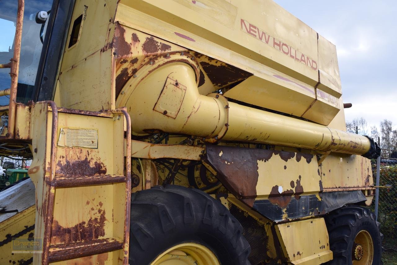 Mähdrescher of the type New Holland TF 44, Gebrauchtmaschine in Oyten (Picture 3)