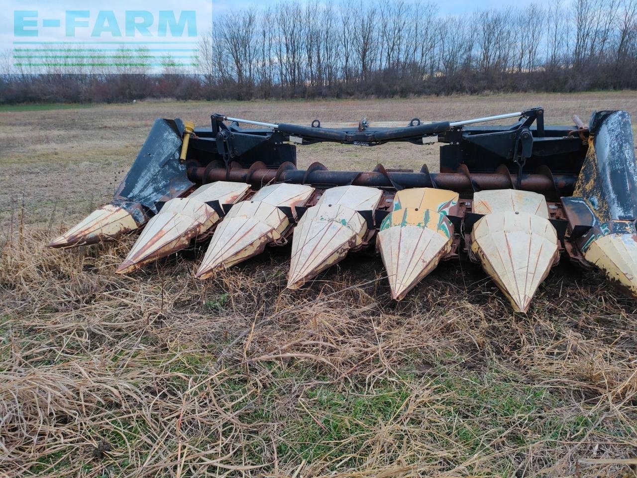 Mähdrescher of the type New Holland TX 66, Gebrauchtmaschine in Hamburg (Picture 5)