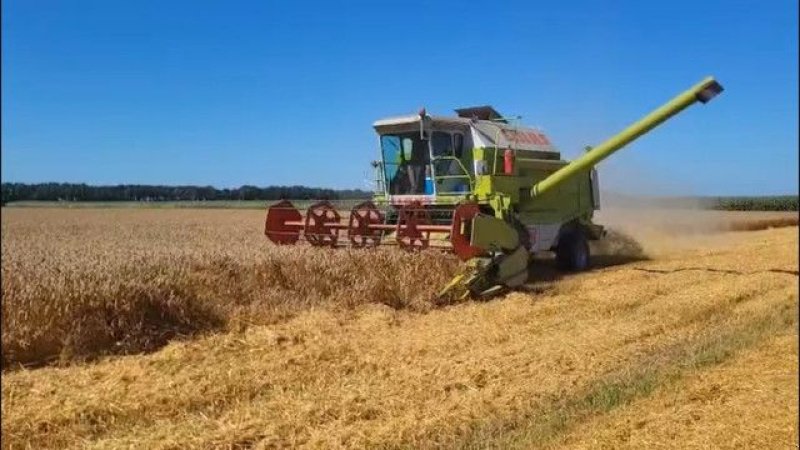 Mähdrescher typu Sonstige Claas dominator 106, Gebrauchtmaschine v Wierden (Obrázek 6)