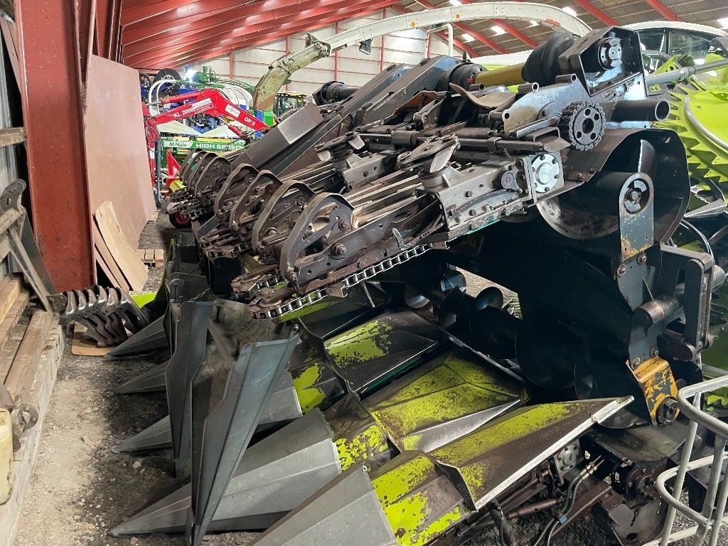 Mähdrescher tip Sonstige Cressoni ALUX LX 8 rk. Plukkebord (majs), Gebrauchtmaschine in Kolding (Poză 1)