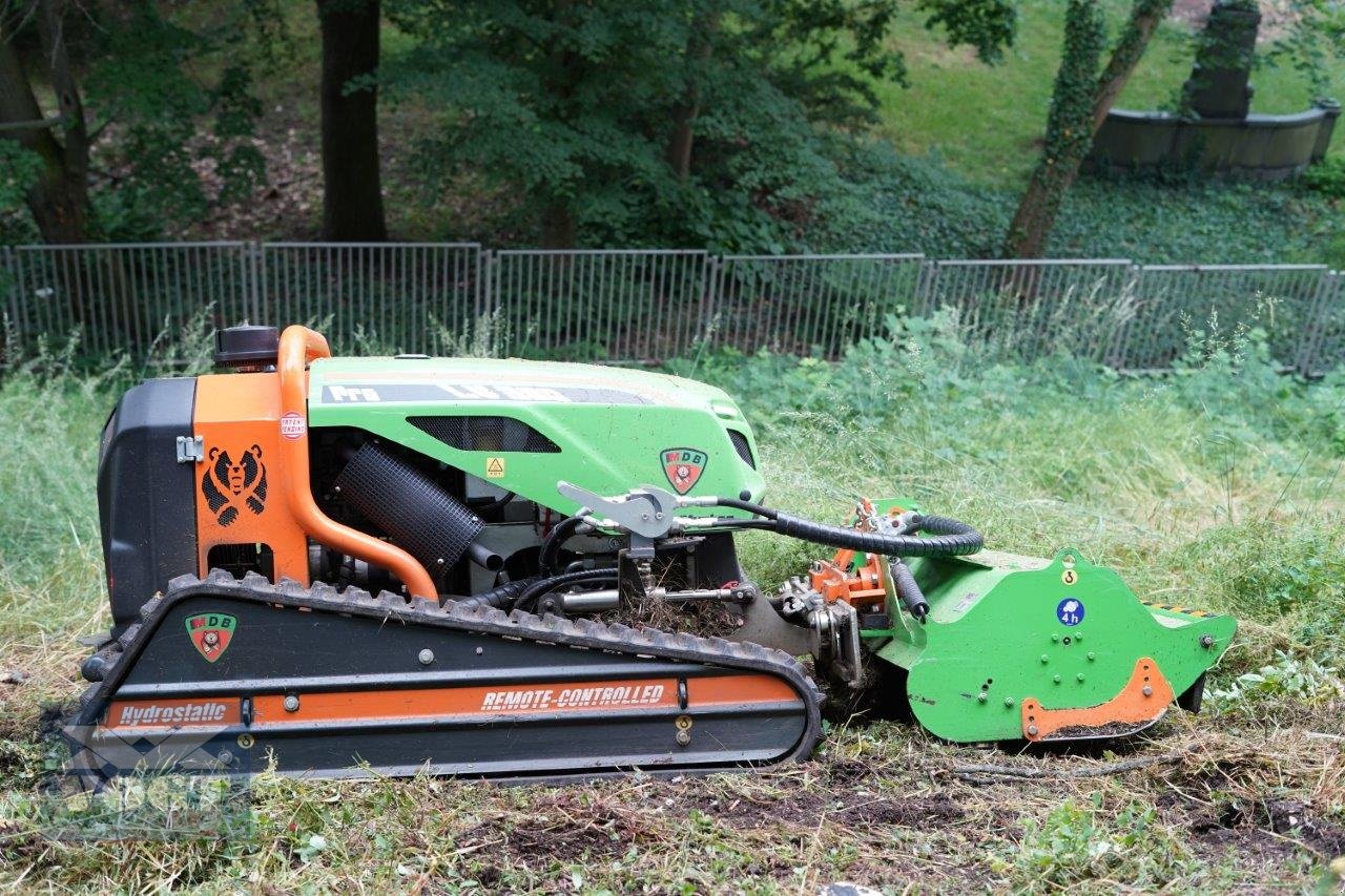 Mähraupe typu MDB LV300 PRO Funkraupe /Mulchraupe mit DRAGONE L-115 Mulchkopf, Neumaschine w Schmallenberg (Zdjęcie 19)