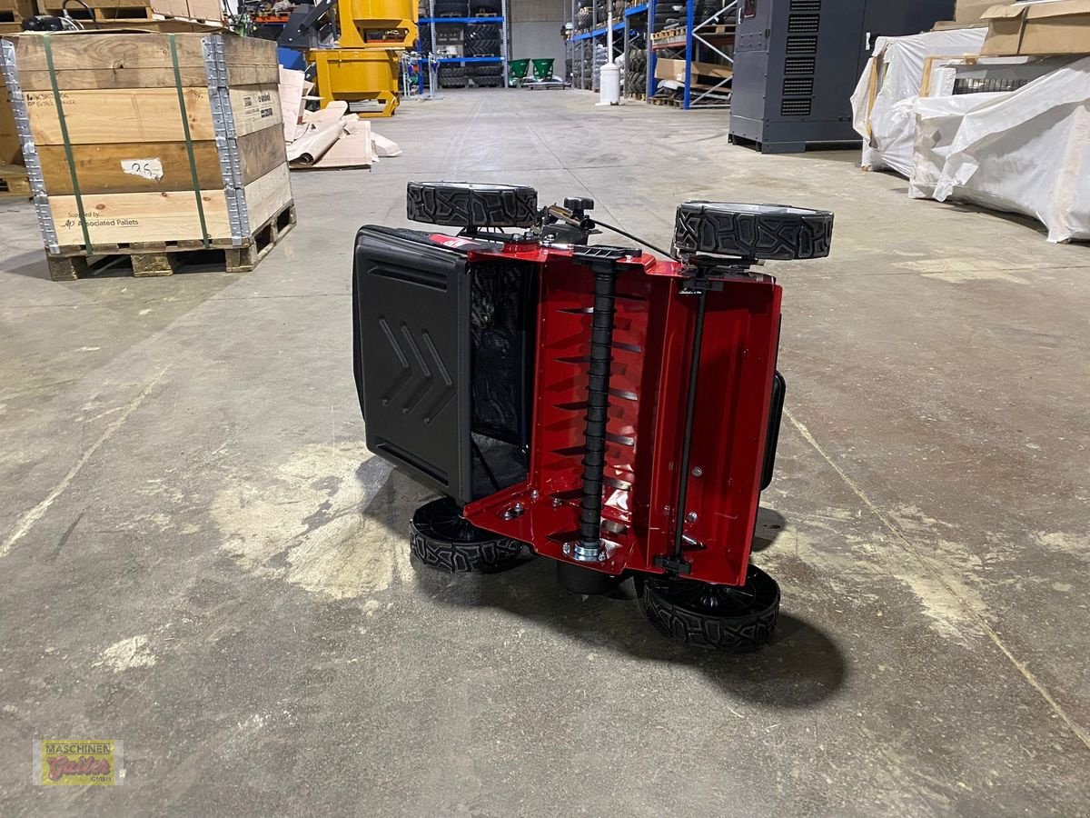 Mähroboter des Typs Toro Vertikutierer Modell TORO 54610, Neumaschine in Kötschach (Bild 22)