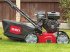 Mähroboter типа Toro Vertikutierer Toro, Neumaschine в NATTERNBACH (Фотография 2)