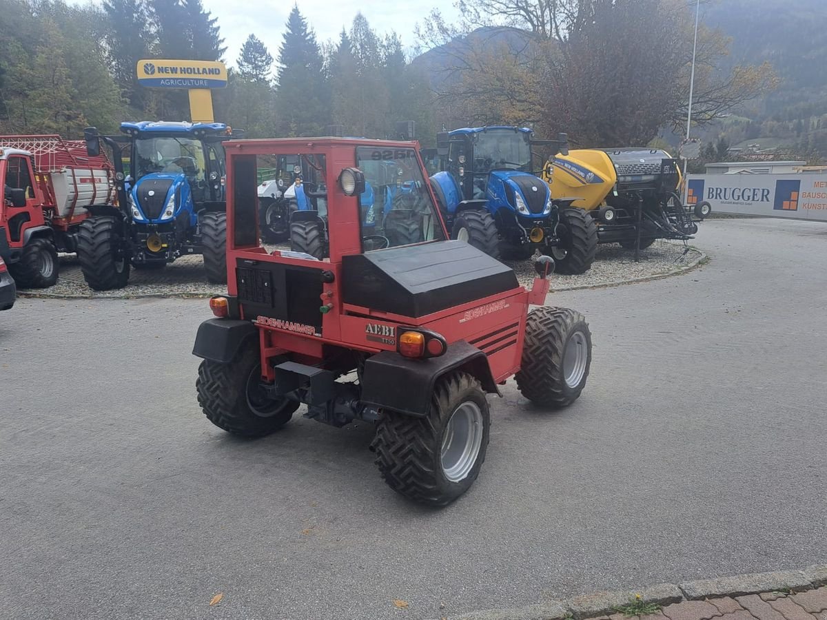 Mähtrak & Bergtrak typu Aebi Terratrac TT50, Gebrauchtmaschine v Burgkirchen (Obrázek 8)