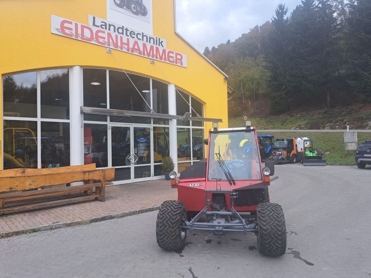 Mähtrak & Bergtrak typu Aebi Terratrac TT50, Gebrauchtmaschine v Burgkirchen (Obrázek 7)