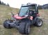 Mähtrak & Bergtrak типа Aebi TT 211, Neumaschine в Egg (Фотография 2)