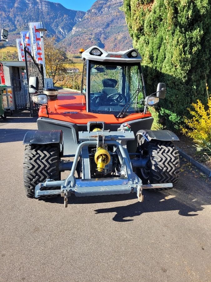 Mähtrak & Bergtrak typu Aebi TT 281 GB312, Gebrauchtmaschine v Eppan (BZ) (Obrázek 5)