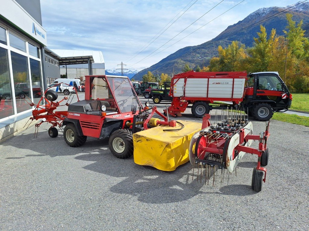 Mähtrak & Bergtrak του τύπου Aebi TT 40, Gebrauchtmaschine σε Susten (Φωτογραφία 4)