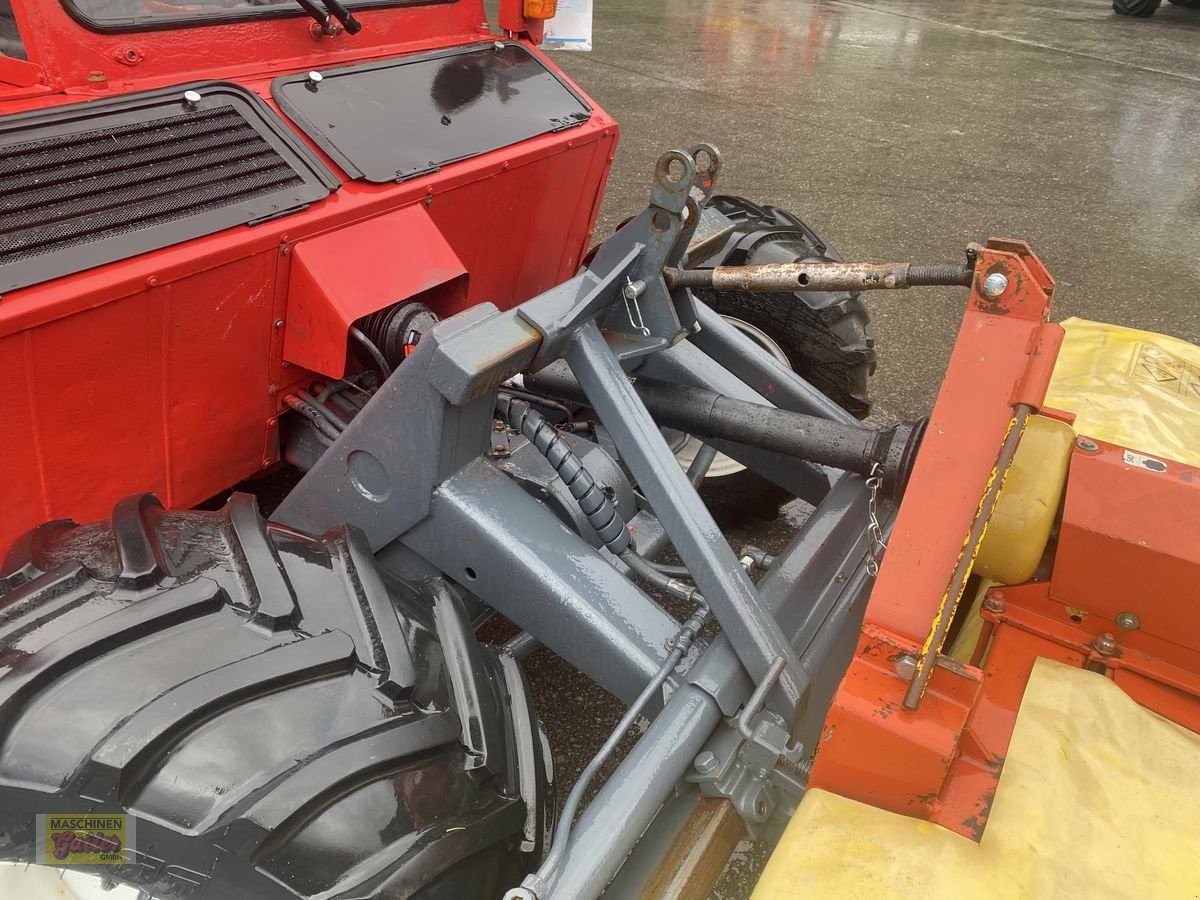 Mähtrak & Bergtrak Türe ait Aebi TT 88, Gebrauchtmaschine içinde Kötschach (resim 16)