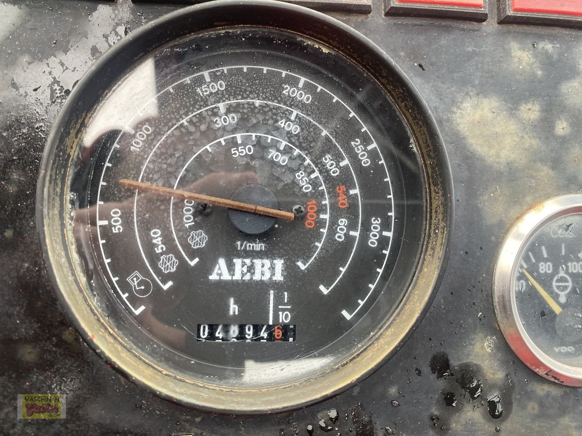 Mähtrak & Bergtrak Türe ait Aebi TT 88, Gebrauchtmaschine içinde Kötschach (resim 21)