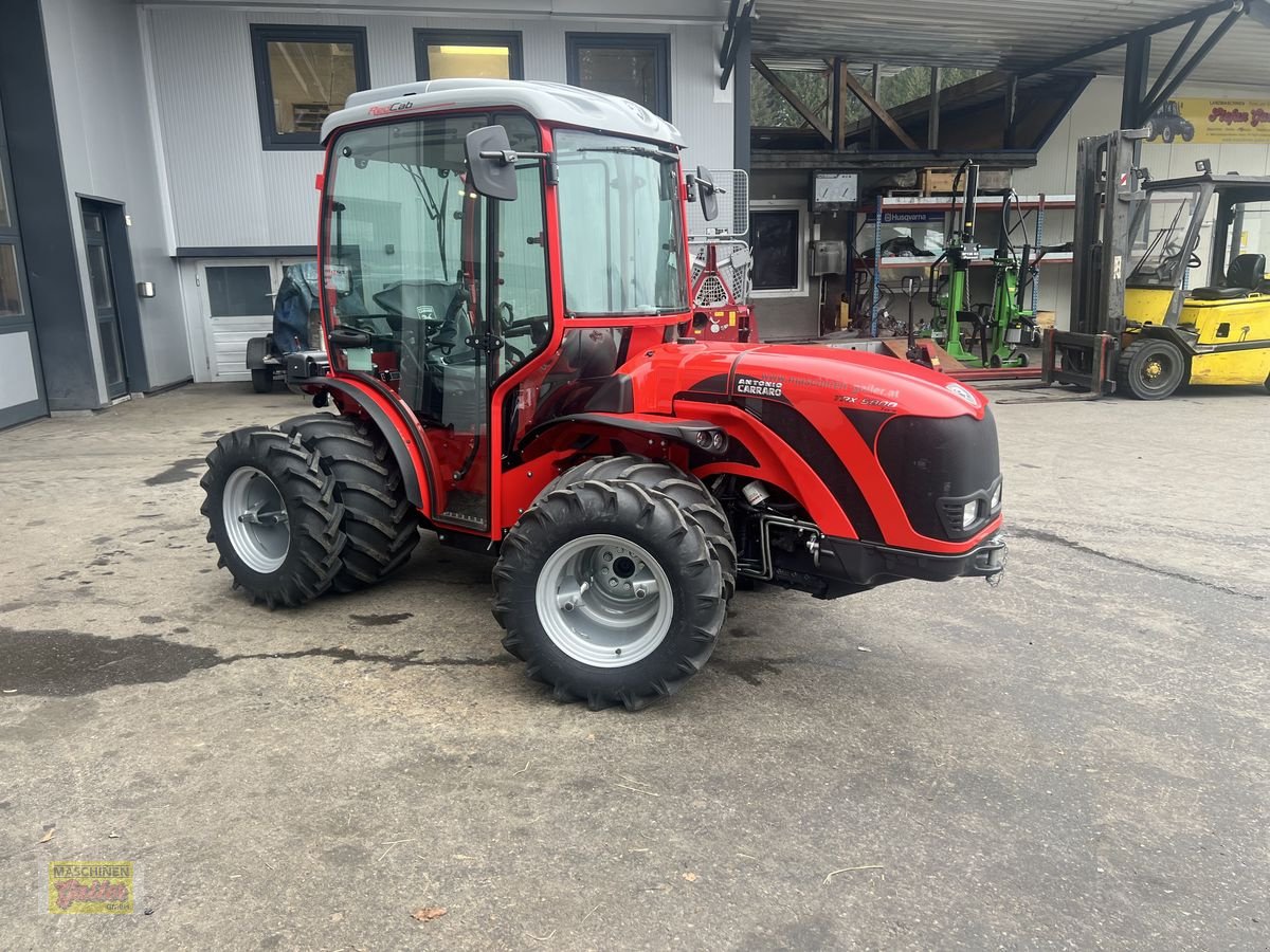 Mähtrak & Bergtrak Türe ait Antonio Carraro TRX 5800 TORA Bergprofi Vorführer, Vorführmaschine içinde Kötschach (resim 7)