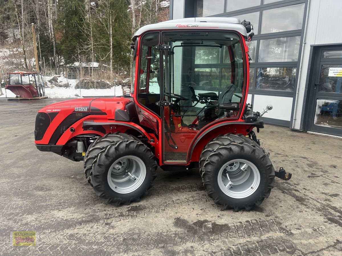 Mähtrak & Bergtrak Türe ait Antonio Carraro TRX 5800 TORA Bergprofi Vorführer, Vorführmaschine içinde Kötschach (resim 9)