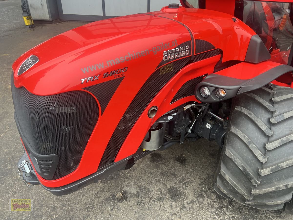Mähtrak & Bergtrak Türe ait Antonio Carraro TRX 5800 TORA Bergprofi Vorführer, Vorführmaschine içinde Kötschach (resim 11)