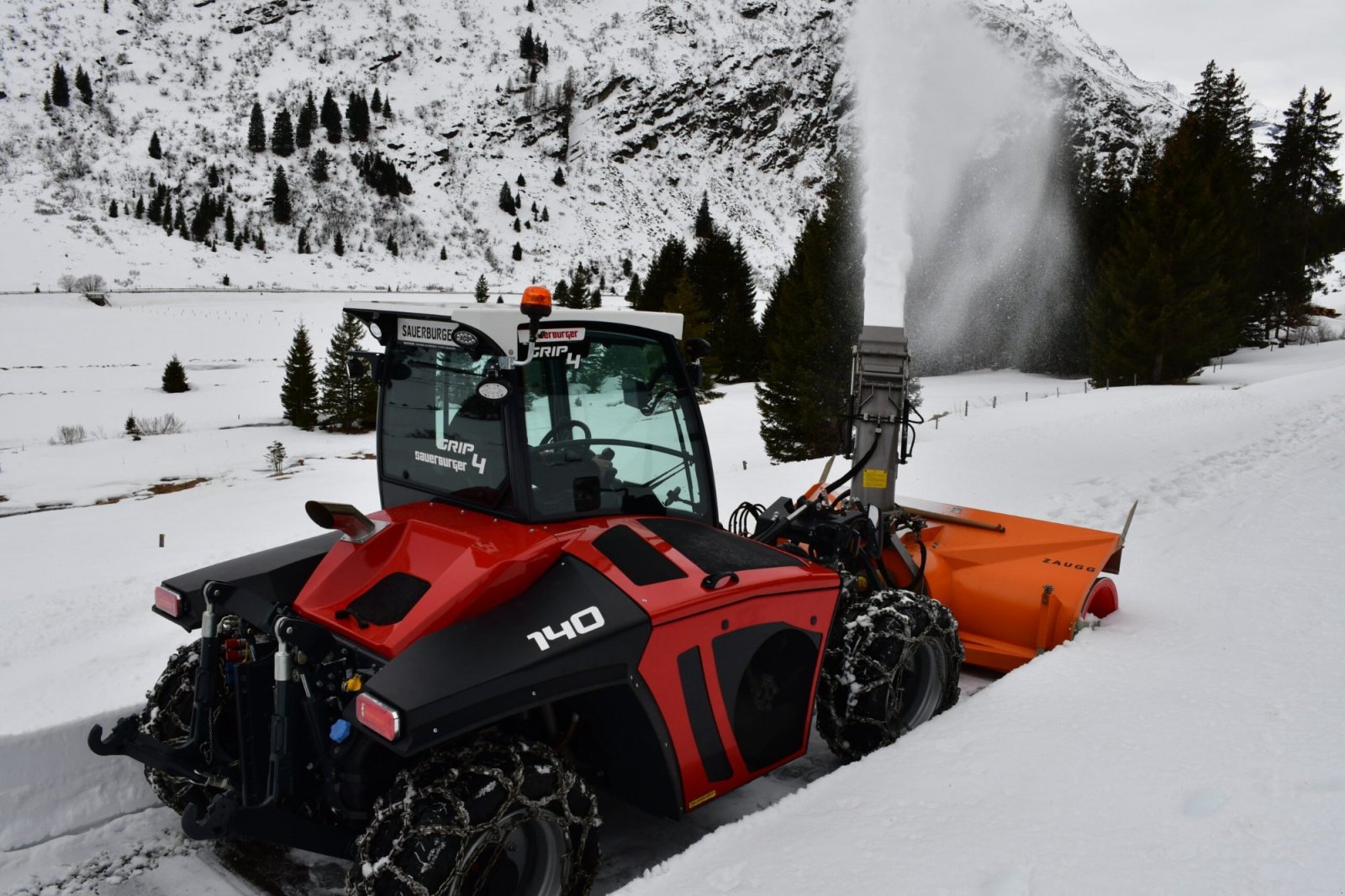 Mähtrak & Bergtrak от тип Sauerburger Grip 4-70, Mietmaschine в Wiedemar (Снимка 4)