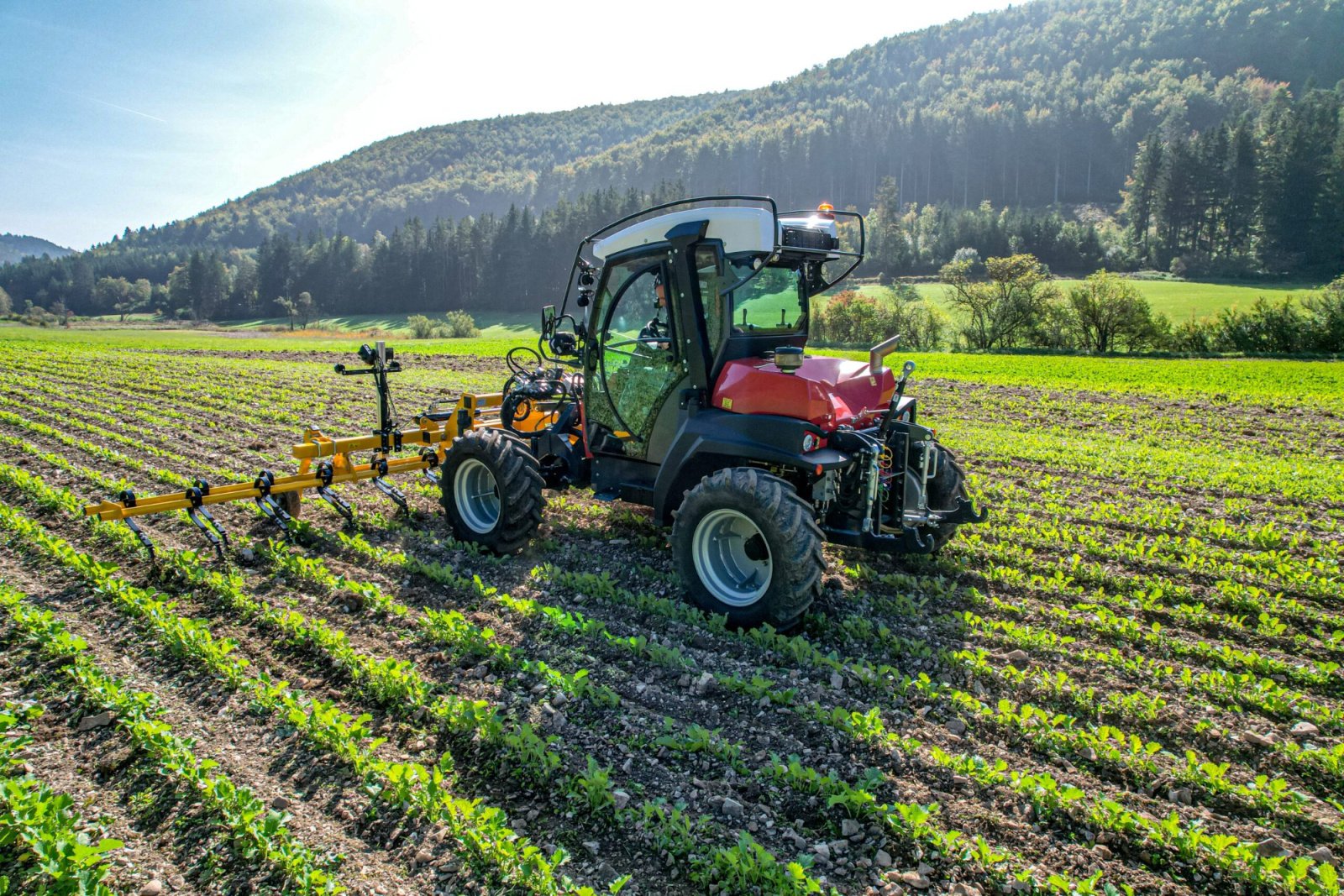 Mähtrak & Bergtrak tip Sauerburger Hangschlepper (alle Modelle), Neumaschine in Wiedemar (Poză 5)