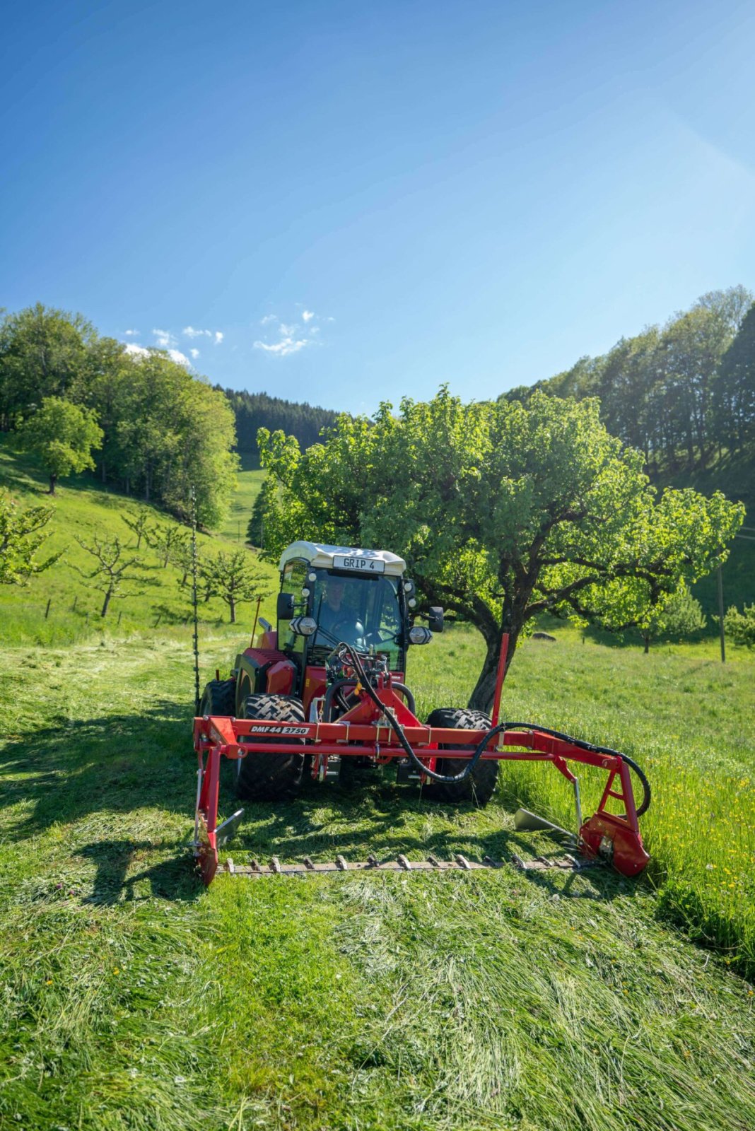 Mähtrak & Bergtrak tip Sauerburger Hangschlepper (alle Modelle), Neumaschine in Wiedemar (Poză 11)