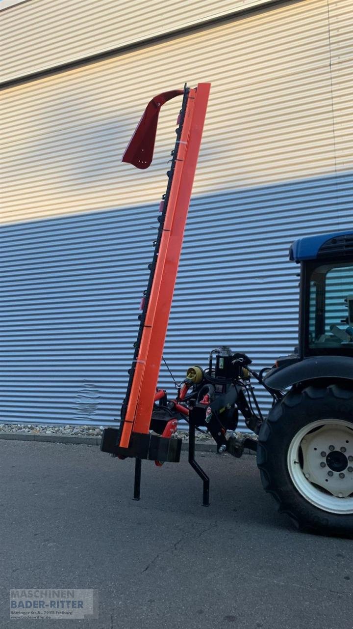Mähwerk des Typs BB-Umwelttechnik SECO DUPLEX 295 ECO H, Neumaschine in Freiburg (Bild 2)