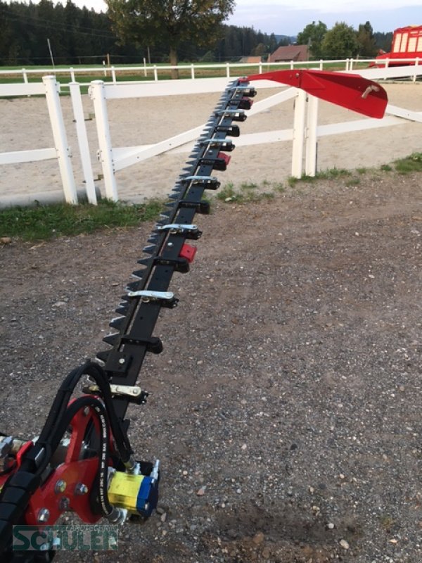 Mähwerk типа BB-Umwelttechnik Seco Duplex 295H Eco, Gebrauchtmaschine в St. Märgen (Фотография 4)