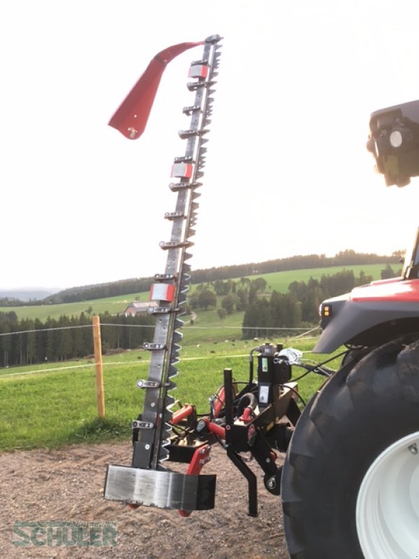 Mähwerk типа BB-Umwelttechnik Seco Duplex 295H Eco, Gebrauchtmaschine в St. Märgen (Фотография 11)