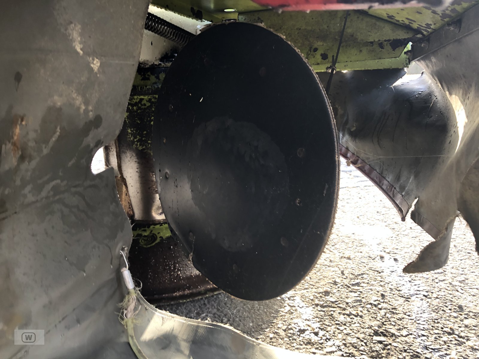 Mähwerk of the type CLAAS Corto 290 F, Gebrauchtmaschine in Zell an der Pram (Picture 16)