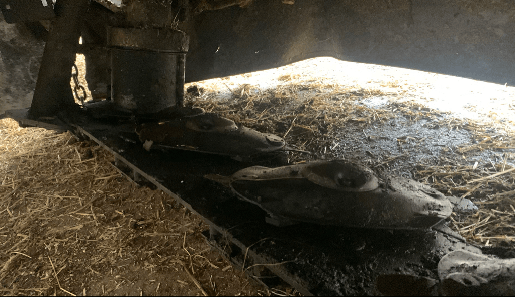 Mähwerk tip CLAAS DISCO 2700, Gebrauchtmaschine in CINTHEAUX (Poză 4)