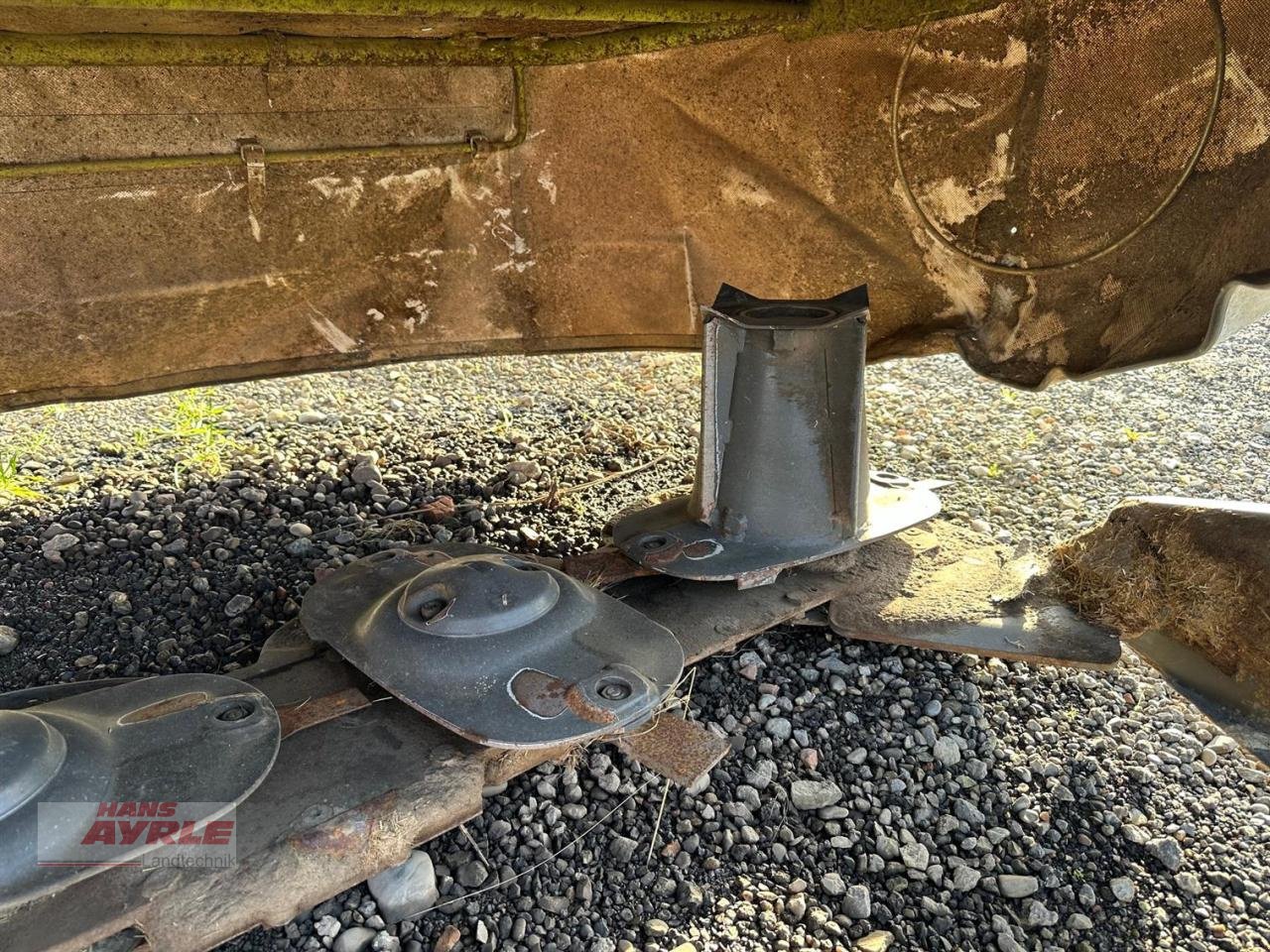 Mähwerk of the type CLAAS Disco 290, Gebrauchtmaschine in Steinheim (Picture 11)