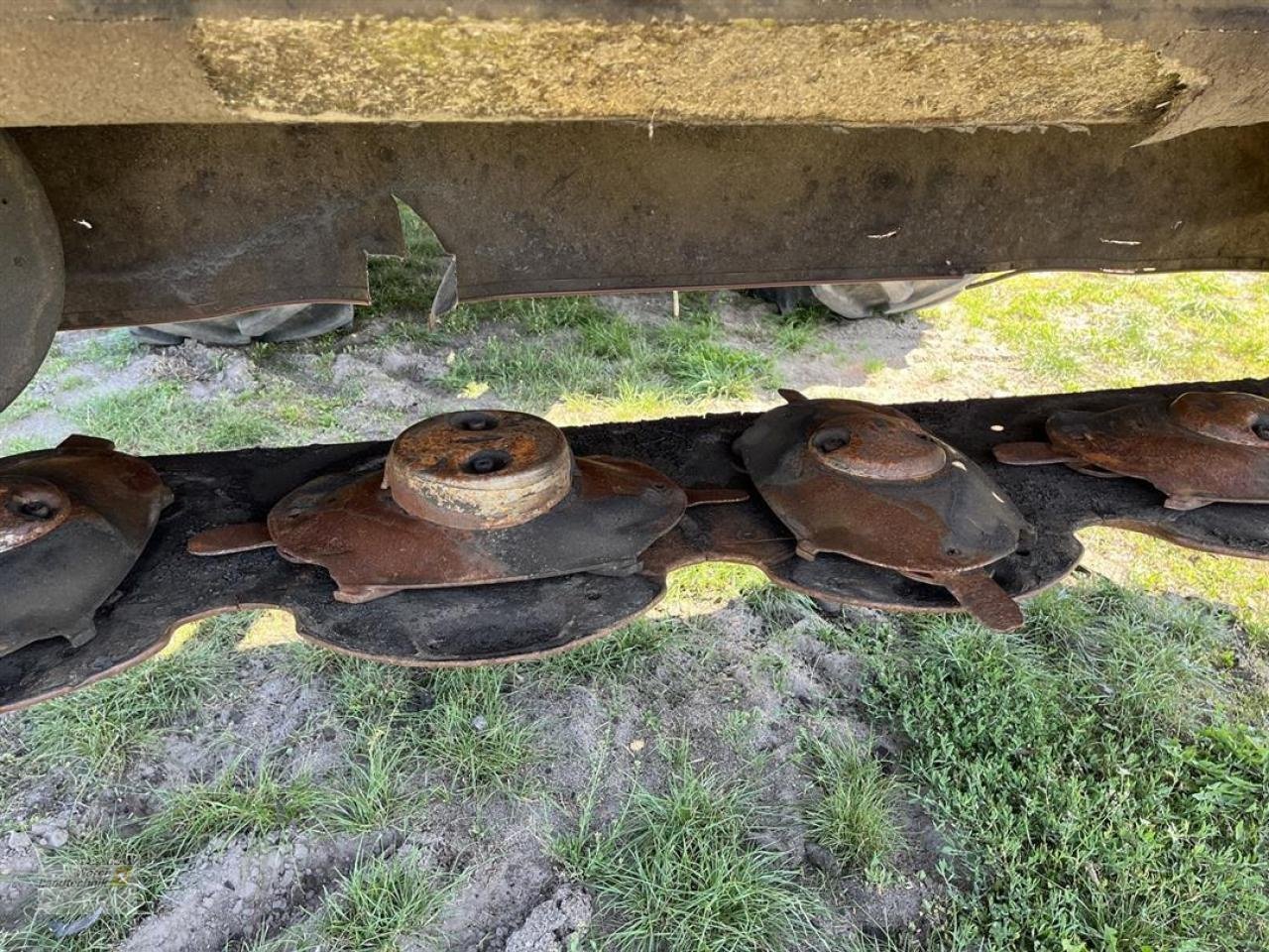 Mähwerk typu CLAAS Disco 3100 F Profil, Gebrauchtmaschine v Schora (Obrázek 13)