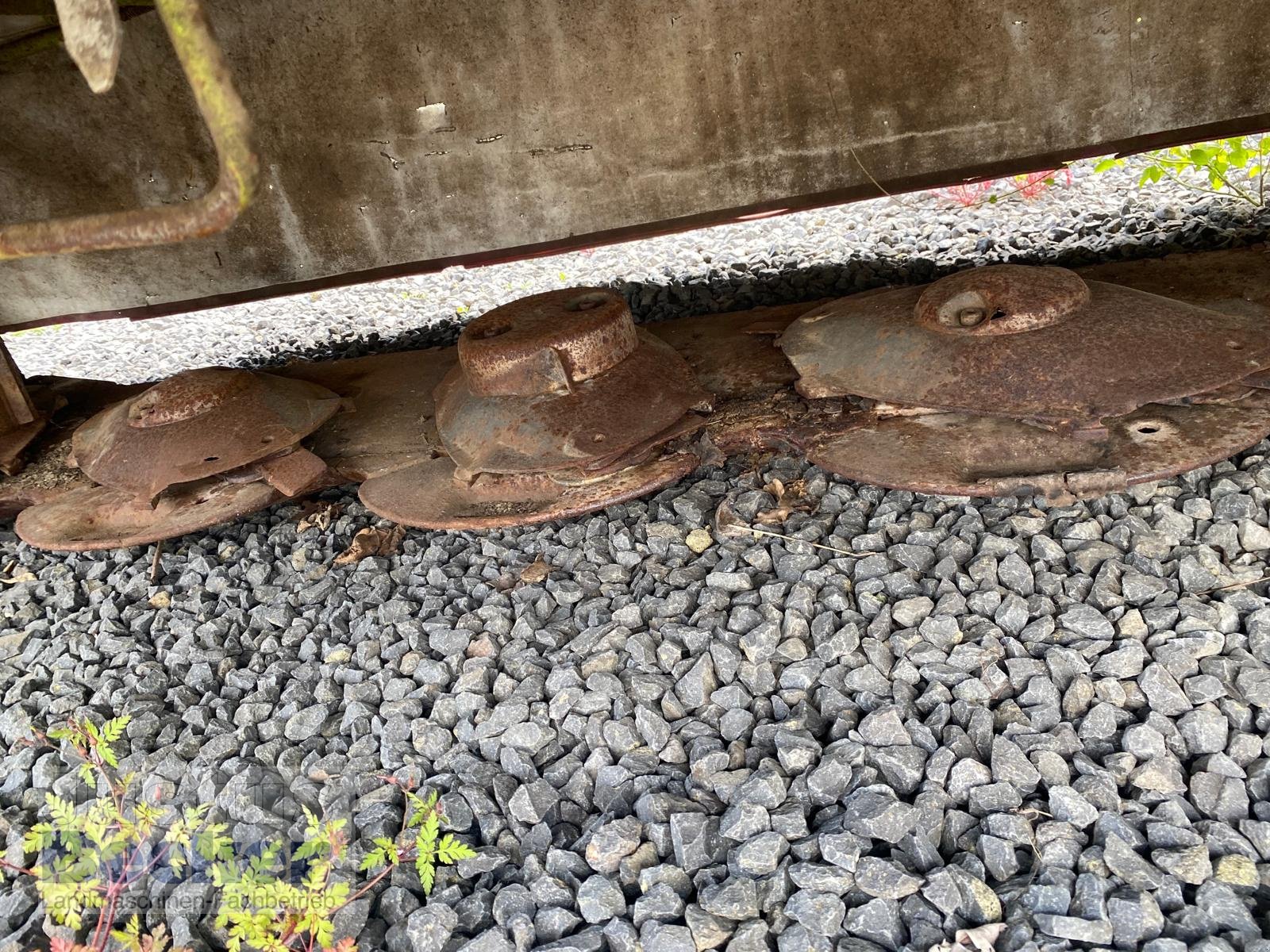 Mähwerk des Typs CLAAS Disco 3450, Gebrauchtmaschine in Weimar-Niederwalgern (Bild 6)