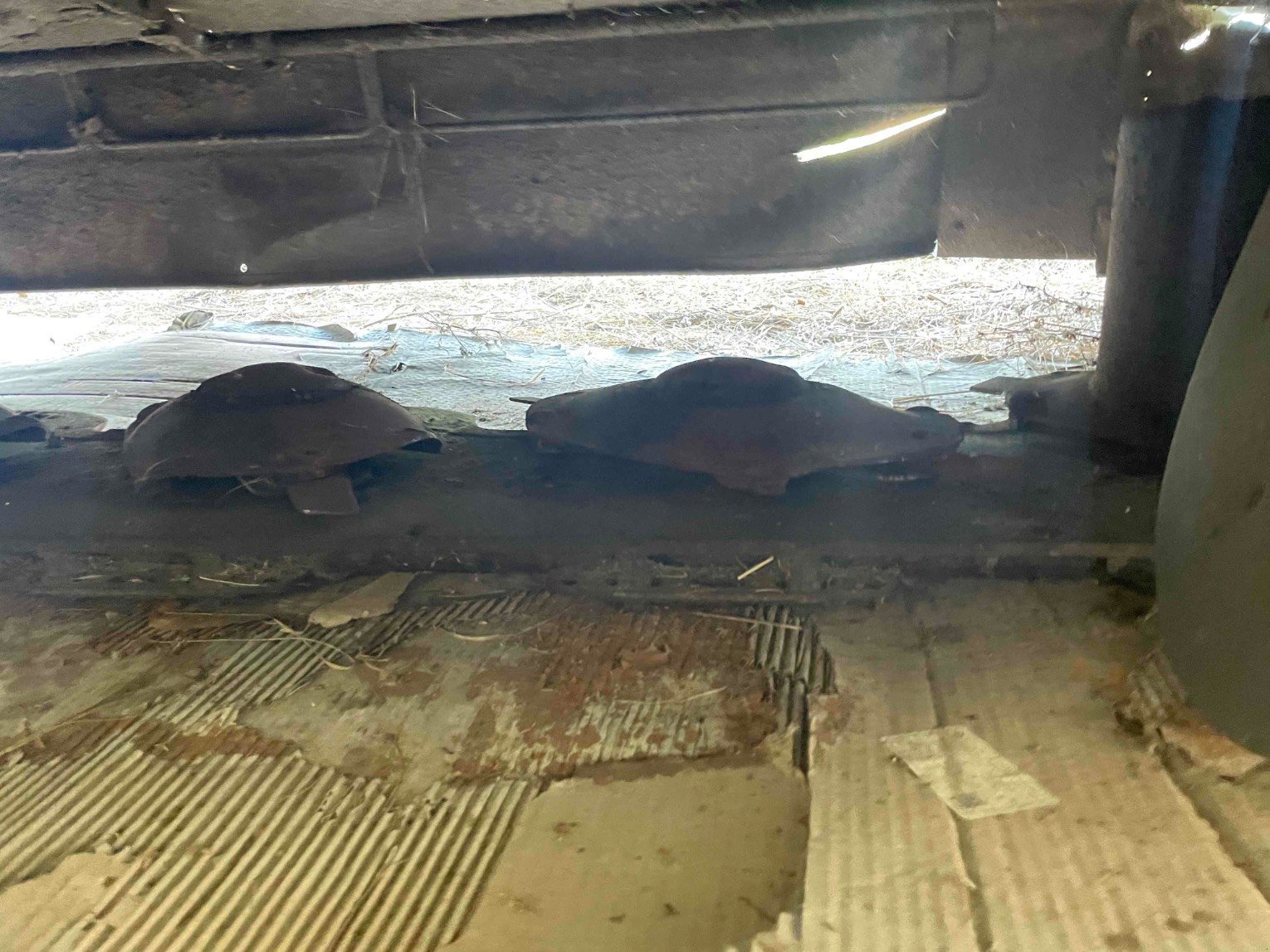 Mähwerk типа CLAAS DISCO 3600 CONTOUR, Gebrauchtmaschine в ST ELIX THEUX (Фотография 10)