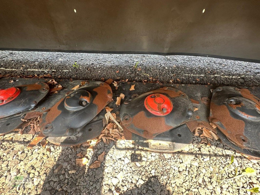 Mähwerk του τύπου CLAAS Disco 4400 Contour, Vorführmaschine σε Georgsheil (Φωτογραφία 11)