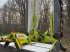 Mähwerk Türe ait CLAAS Disco 8400 C + Disco 3100 C Profil, Gebrauchtmaschine içinde Lautertal (resim 2)