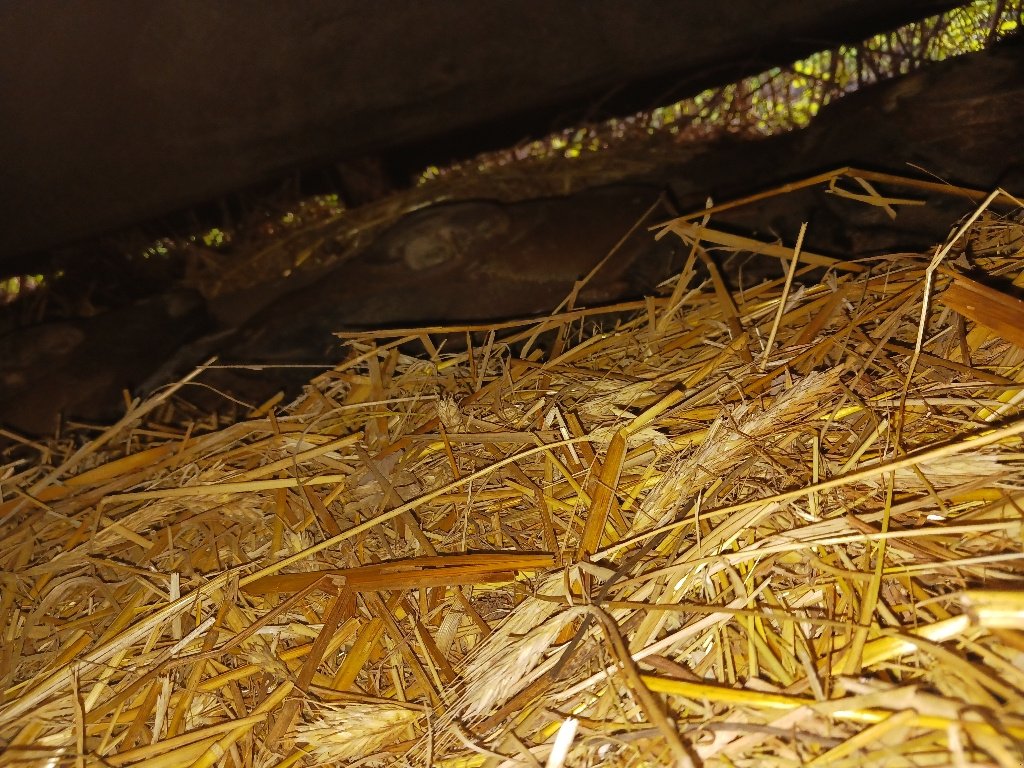 Mähwerk типа CLAAS Disco contour 3500, Gebrauchtmaschine в SAINT HILAIRE EN MORVAN (Фотография 5)