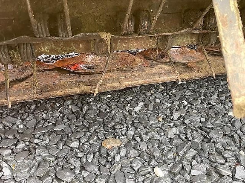 Mähwerk typu Fella SM 300 Trans, Gebrauchtmaschine v Fischbach/Clervaux (Obrázek 12)