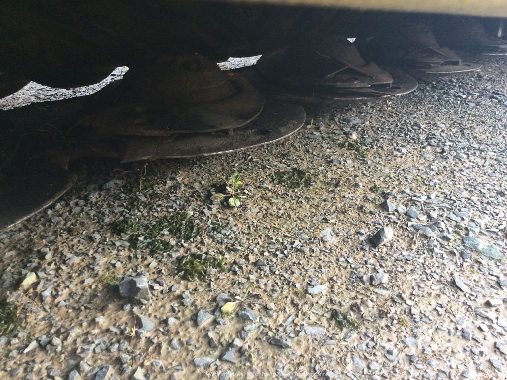 Mähwerk типа Fella SM 310 TL RC, Gebrauchtmaschine в azerailles (Фотография 6)