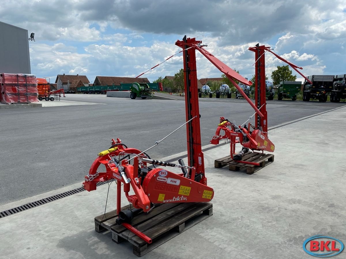 Mähwerk typu Gaspardo Fiore Zahnfinger Mähwerke, Neumaschine v Rovisce (Obrázek 2)