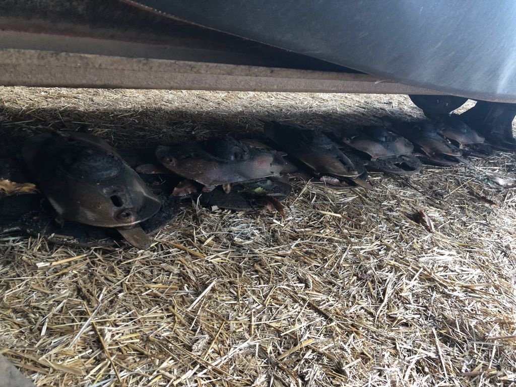 Mähwerk of the type Kongskilde GXS 3205, Gebrauchtmaschine in SAINTE GENEVIEVE SUR AGENCE (Picture 3)